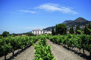 Roses despide el verano con triple brindis enoturista - Gastronomía y Moda