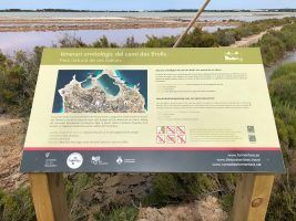 Formentera estrena nueva Ruta Birding - Gastronomía y Moda