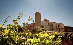 Roses despide el verano con triple brindis enoturista - Gastronomía y Moda