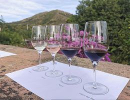 Roses despide el verano con triple brindis enoturista - Gastronomía y Moda