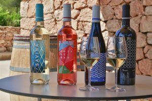 Saborea y degusta Formentera… ¡A través de sus vinos! - Gastronomía y Moda