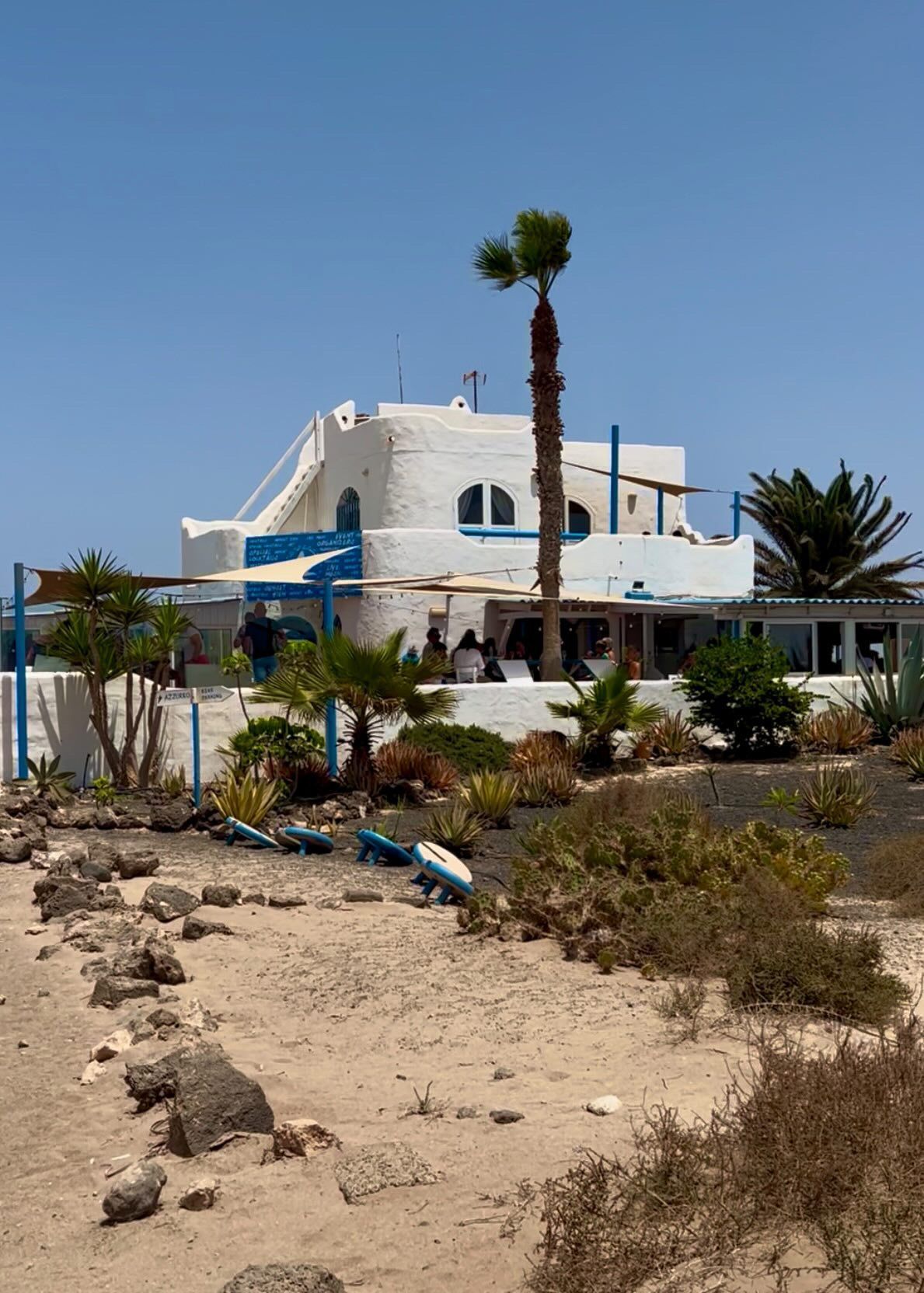 Fuerteventura: sabores fascinantes y excelentes vinos te esperan en Azzurro - Gastronomía y Moda