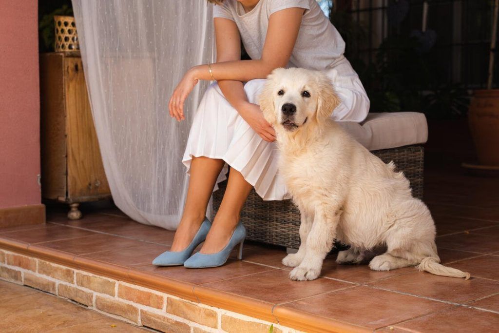 Conoce a Greta Garbo, la mujer que inspira las bailarinas y stilettos veganos de Onnoa Conoce a Greta Garbo, la mujer que inspira las bailarinas y stilettos veganos de Onnoa - Gastronomía y Moda