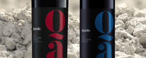 El tinto Quadis, patrocinador del concurso 'Chef Sierra de Cádiz 2019' - Gastronomía y Moda