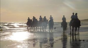 Vive tu mejor experiencia en Doñana con Hipíca ‘El Paso Doble’ - Gastronomía y Moda
