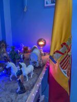 Mariscos y tradición en La Carihuela Córdoba, sabor del mar en pleno corazón de la ciudad - Gastronomía y Moda