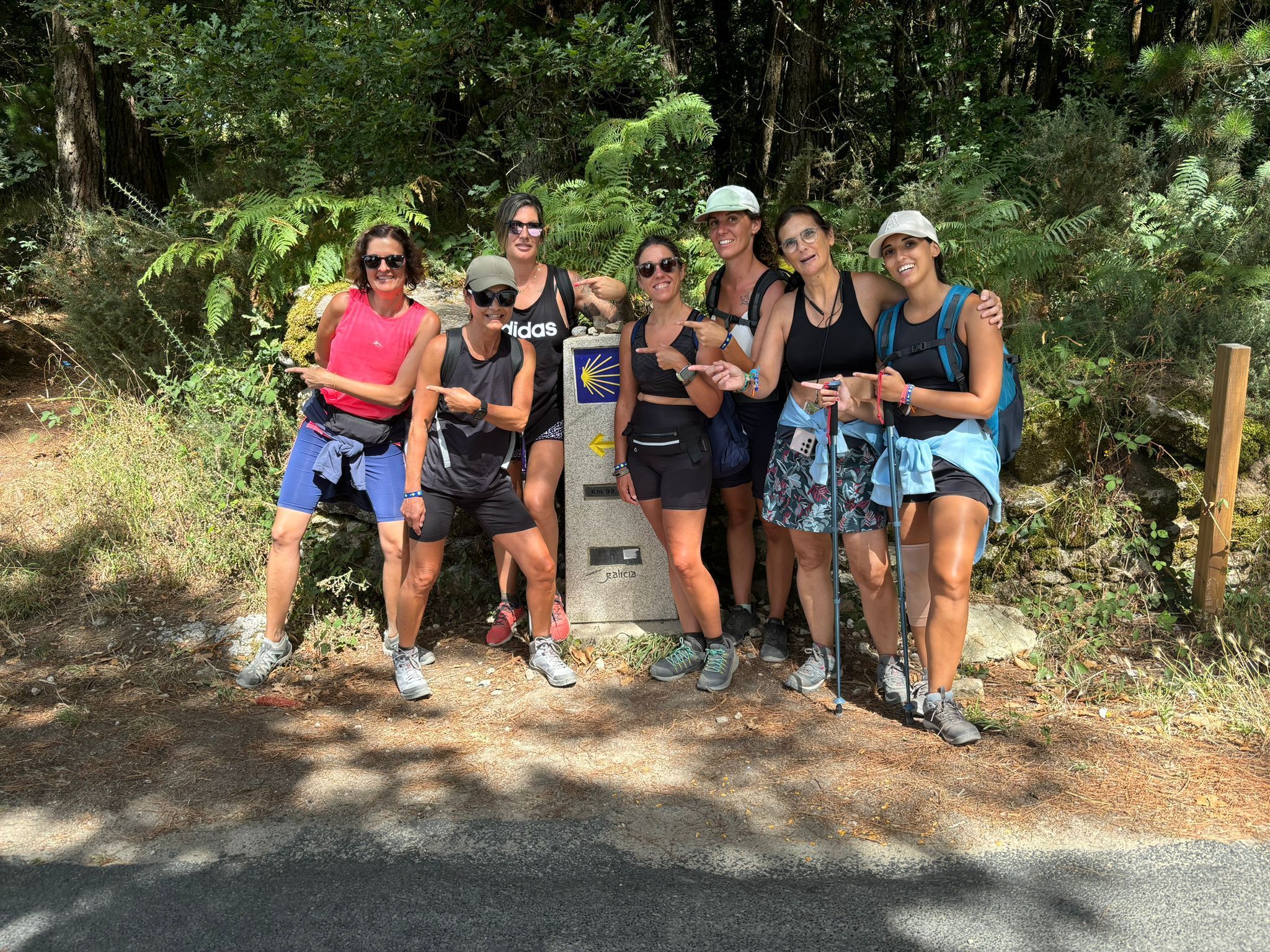 El Camino de Santiago se prepara para un 2026 histórico - Gastronomía y Moda