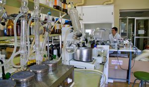 Los taninos, compuestos saludables del vino tinto y las semillas de uva para combatir el envejecimiento - Gastronomía y Moda