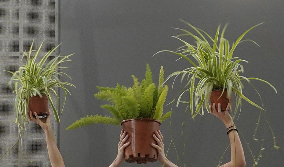 Flora 2026 lleva al C3A de Córdoba el arte de Maider López y la música de Martirio Flora 2026 lleva al C3A de Córdoba el arte de Maider López y la música de Martirio - Gastronomía y Moda