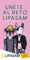 perros Lipasam Diciembre 18