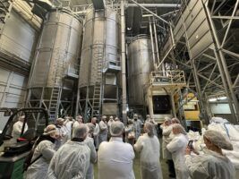 La campaña de arroz en Sevilla culmina con más de 110.000 toneladas y un impulso histórico para la gastronomía andaluza - Gastronomía y Moda