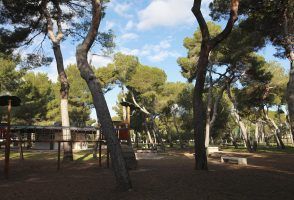 Paseos por 5 espacios verdes de Castelló - Gastronomía y Moda