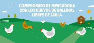 Compromiso de Mercadona con los huevos de gallinas libres de jaula - Gastronomía y Moda