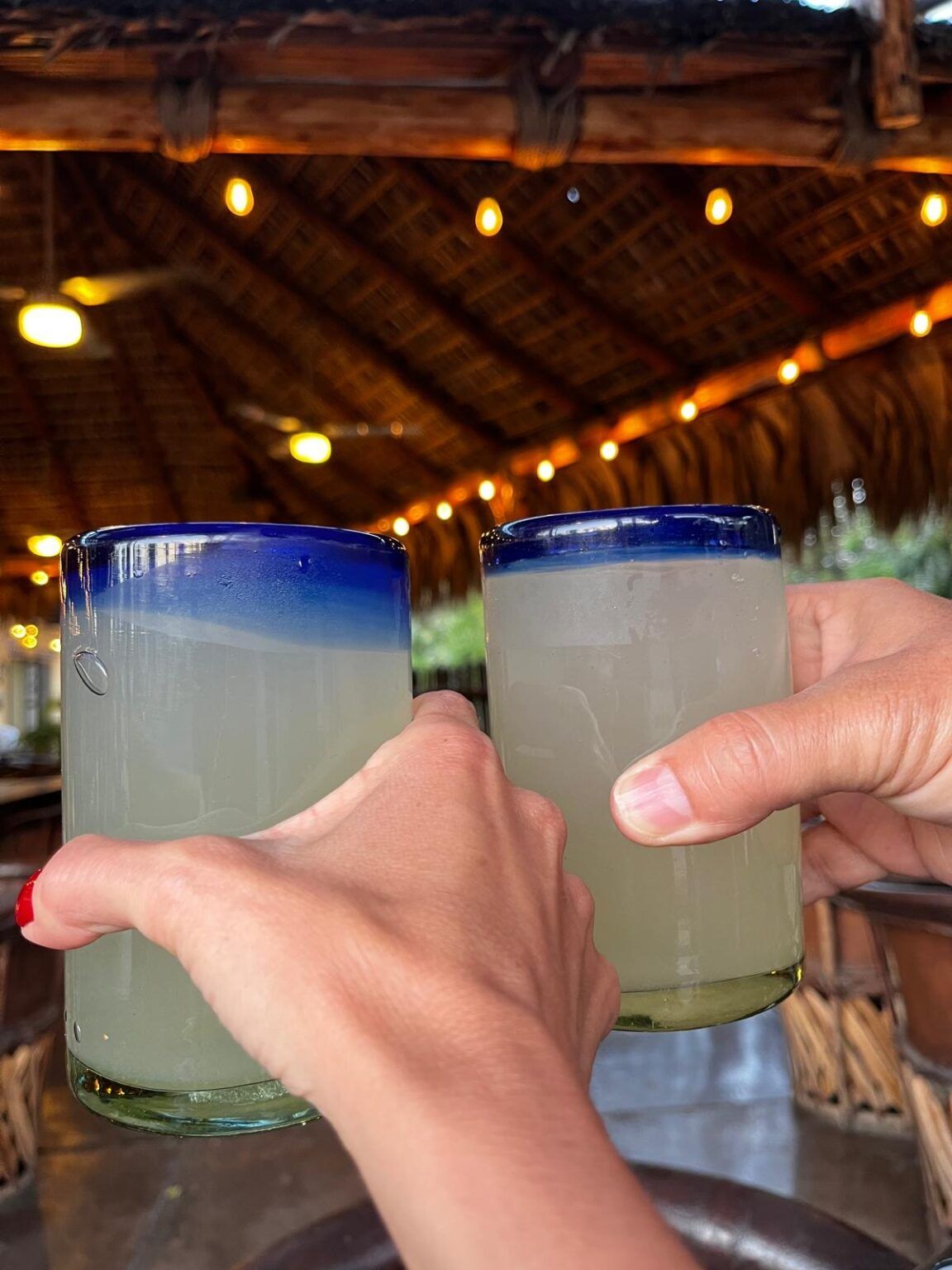 Claro Fish Jr., pura gastronómia de San José del Cabo - Gastronomía y Moda
