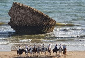 Vive tu mejor experiencia en Doñana con Hipíca ‘El Paso Doble’ - Gastronomía y Moda