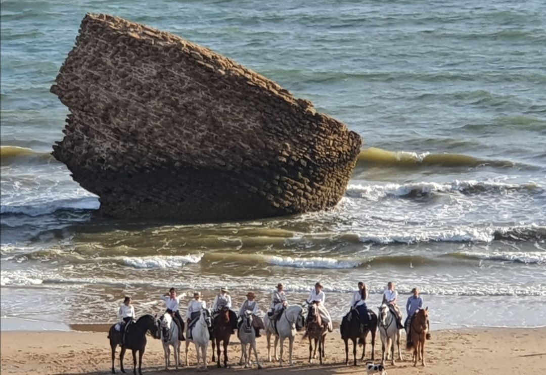 Vive tu mejor experiencia en Doñana con Hipíca ‘El Paso Doble’ - Gastronomía y Moda