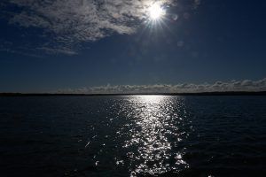 Naturaleza, historia y tradiciones de Isla Cristina en barco - Gastronomía y Moda