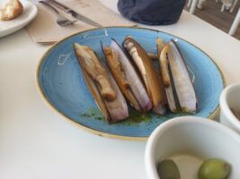 La Taberna del Sapo, cocina gallega en la Bahía de Cádiz - Gastronomía y Moda