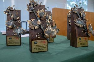 Entregados los V Premios ‘Vinos y Licores de la Provincia de Sevilla’ - Gastronomía y Moda