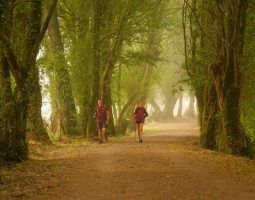 El Camino de Santiago by Excelencia Rural - Gastronomía y Moda