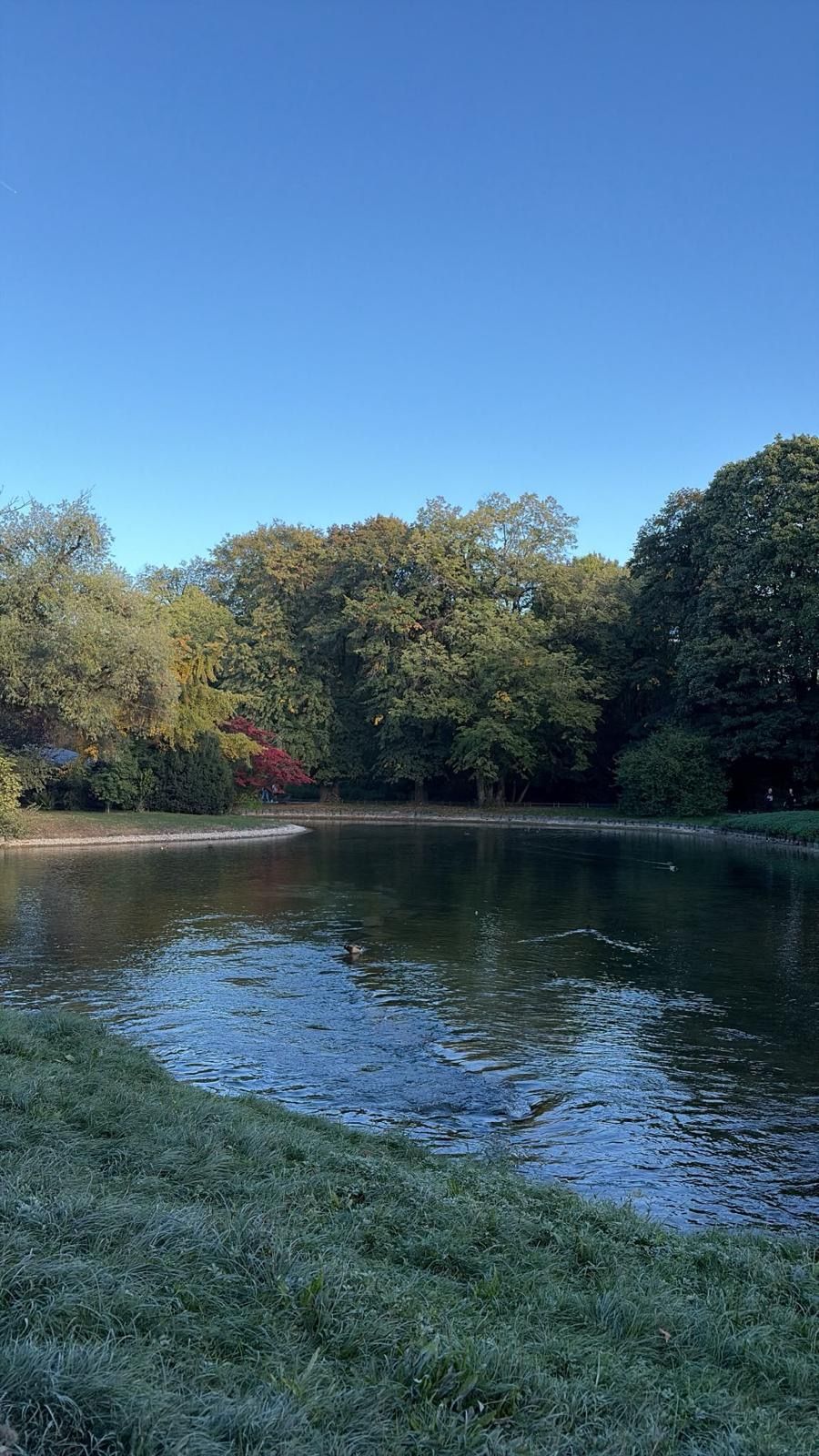 Englischer Garten de Múnich: naturaleza, cerveza y el sabor de una auténtica Brezel bávara - Gastronomía y Moda