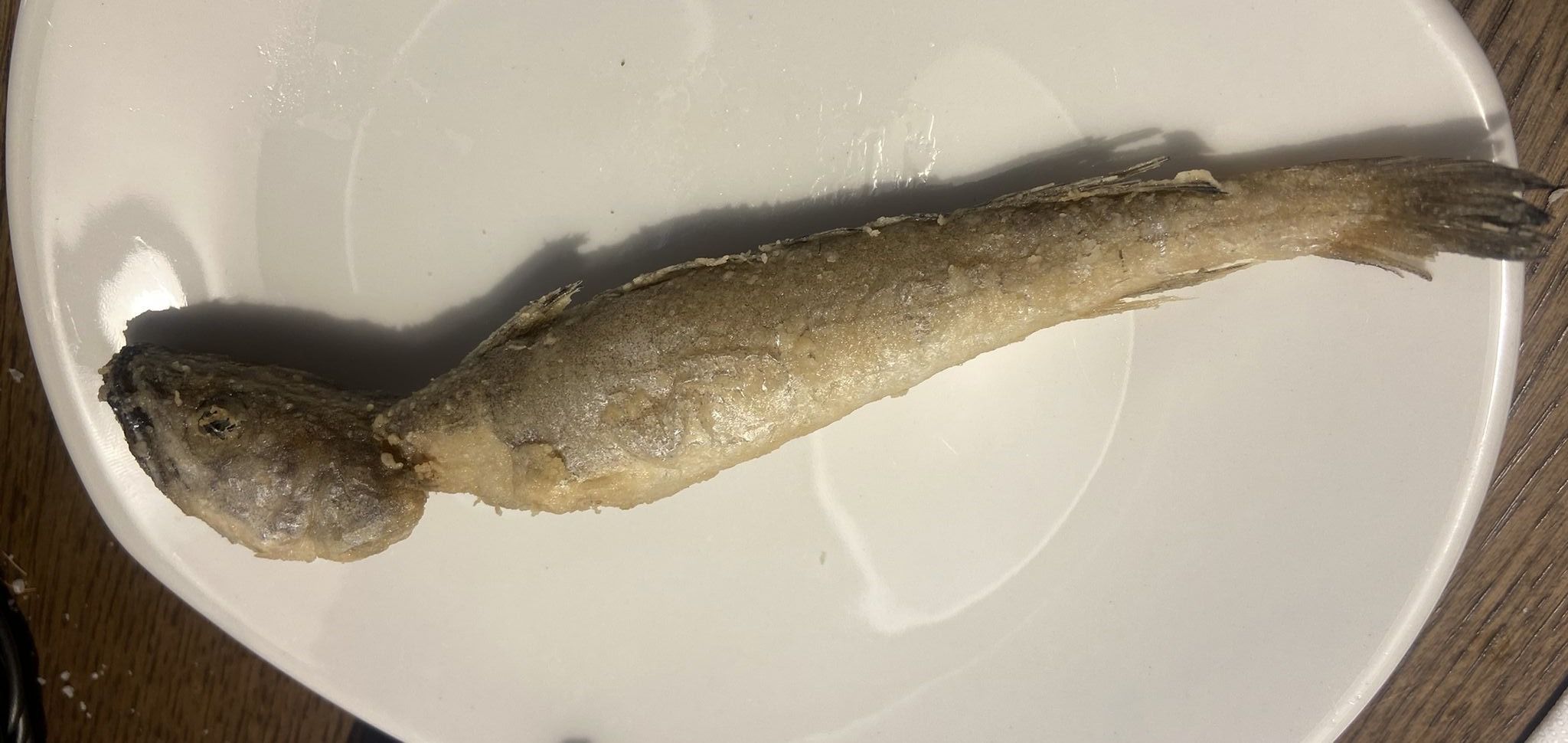 Bar FM, desde 1985 ofreciendo los mejores pescados y mariscos de la lonja de Motril - Gastronomía y Moda