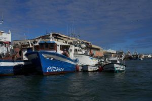 Naturaleza, historia y tradiciones de Isla Cristina en barco - Gastronomía y Moda