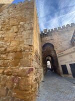 Carmona entra en la nueva directiva de Spain Film Commission - Gastronomía y Moda