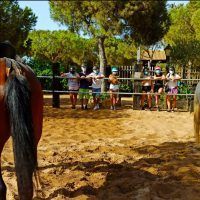 Vive tu mejor experiencia en Doñana con Hipíca ‘El Paso Doble’ - Gastronomía y Moda