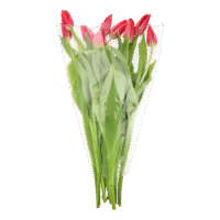 Tulipanes y chocolates por menos de 3 euros para celebrar San Valentín con estilo y sin gastar de más - Gastronomía y Moda