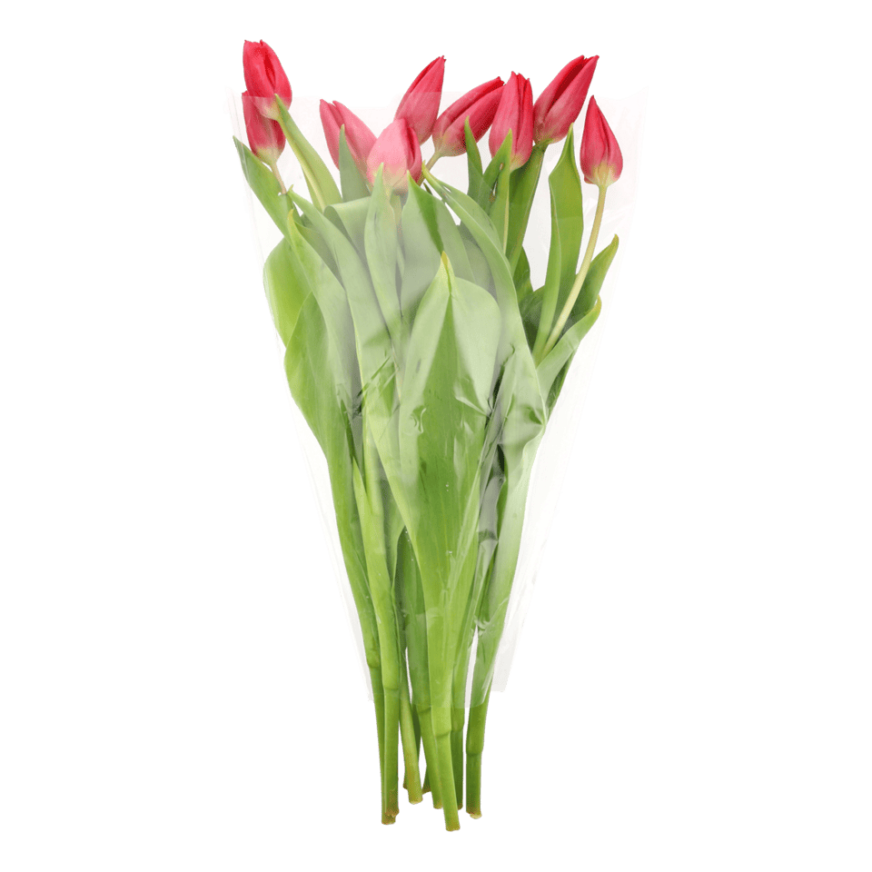 Tulipanes y chocolates por menos de 3 euros para celebrar San Valentín con estilo y sin gastar de más - Gastronomía y Moda