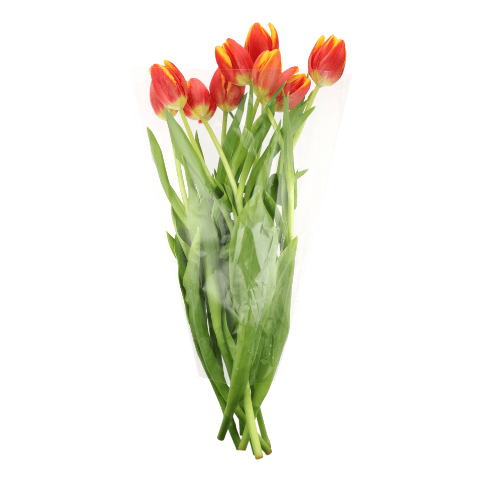 Tulipanes y chocolates por menos de 3 euros para celebrar San Valentín con estilo y sin gastar de más - Gastronomía y Moda