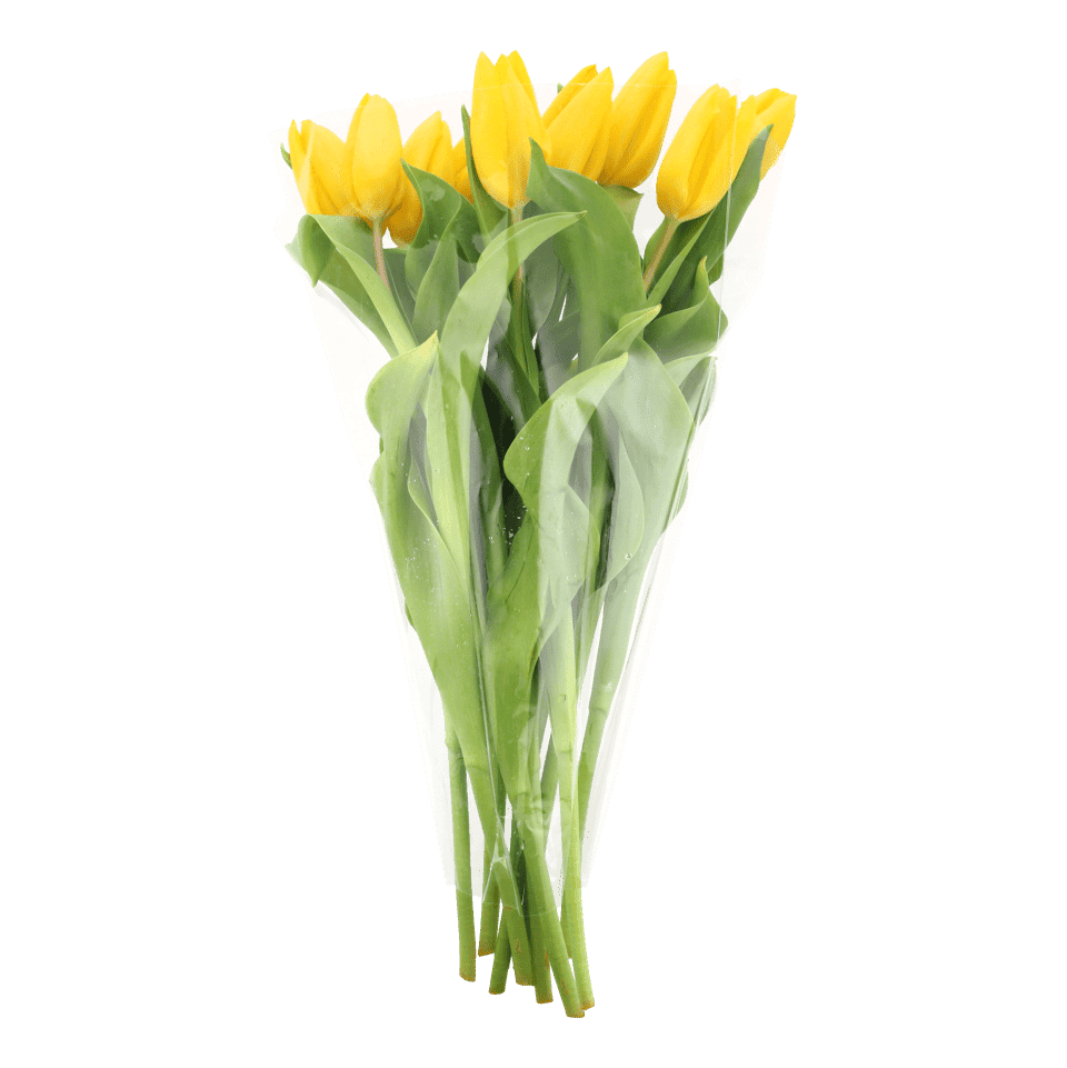 Tulipanes y chocolates por menos de 3 euros para celebrar San Valentín con estilo y sin gastar de más - Gastronomía y Moda