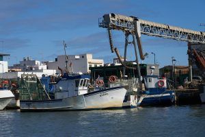 Naturaleza, historia y tradiciones de Isla Cristina en barco - Gastronomía y Moda