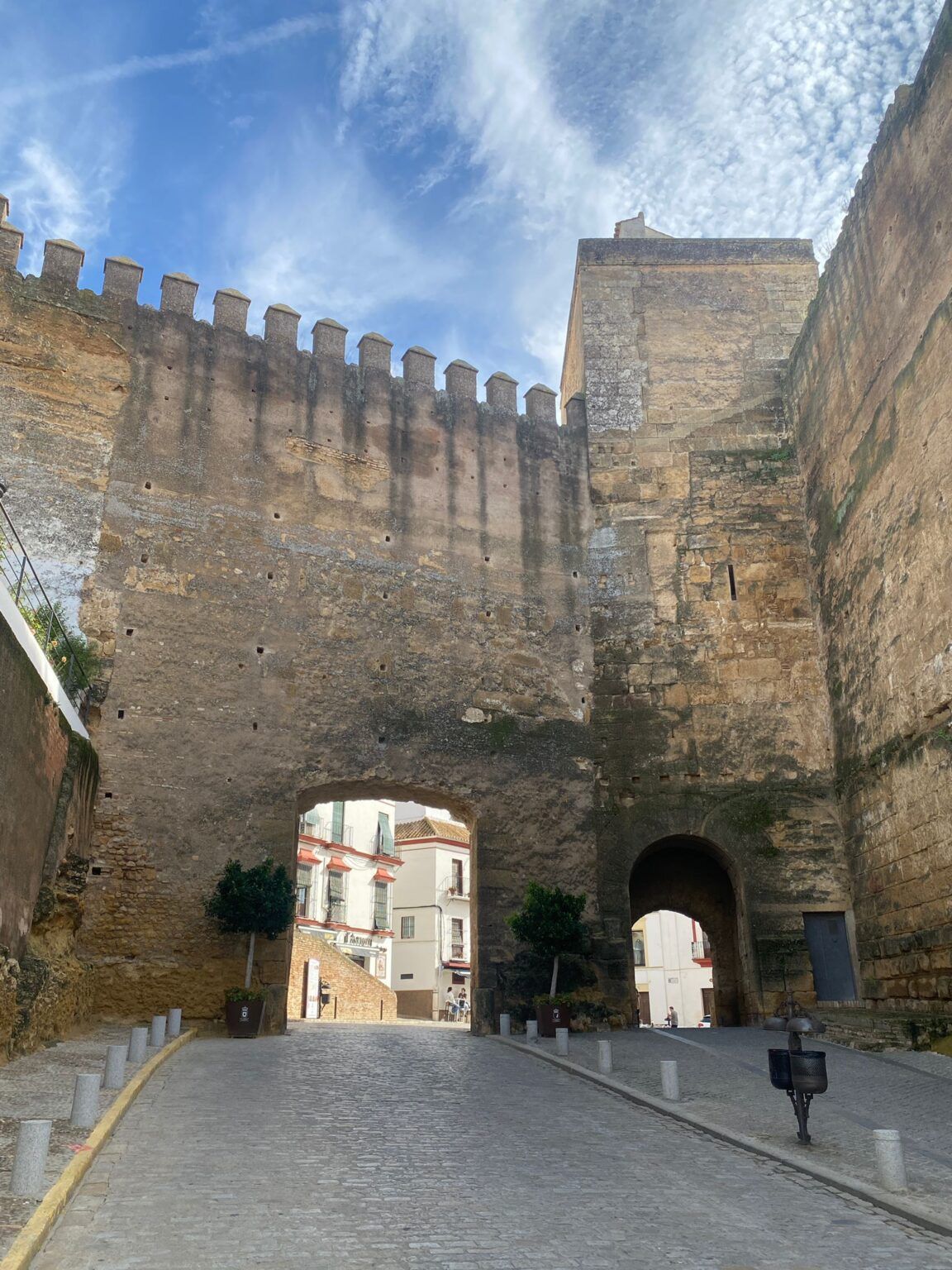 Carmona entra en la nueva directiva de Spain Film Commission - Gastronomía y Moda