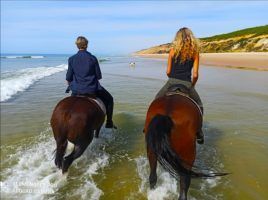 Vive tu mejor experiencia en Doñana con Hipíca ‘El Paso Doble’ - Gastronomía y Moda
