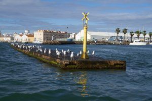 Naturaleza, historia y tradiciones de Isla Cristina en barco - Gastronomía y Moda