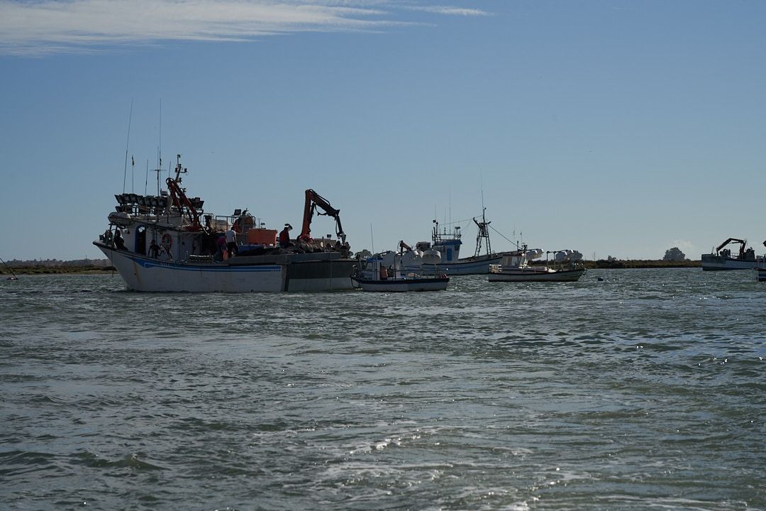 Naturaleza, historia y tradiciones de Isla Cristina en barco - Gastronomía y Moda