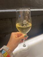 Bodeguita 1999, fusión de lo mejor del País Vasco y de la huerta mediterránea en Alicante - gastronomía y Moda