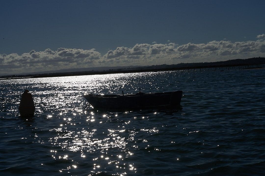 Naturaleza, historia y tradiciones de Isla Cristina en barco - Gastronomía y Moda