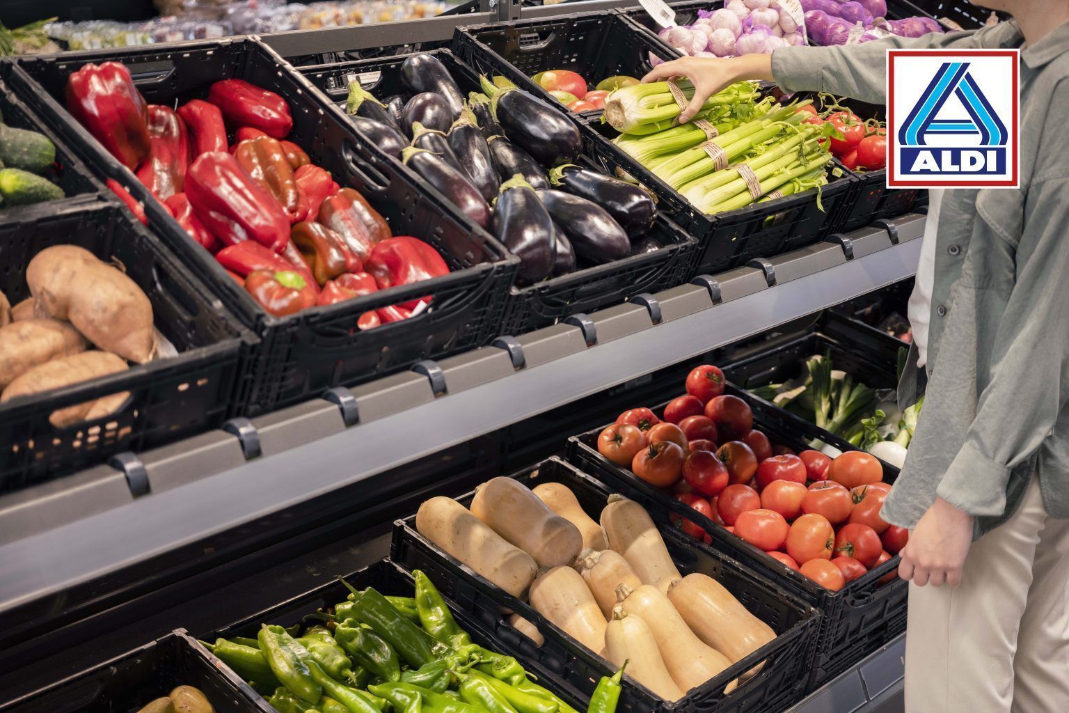 El 47% de los españoles afirma haber seguido una dieta en algún momento de su vida El 47% de los españoles afirma haber seguido una dieta en algún momento de su vida - Gastronomía y Moda