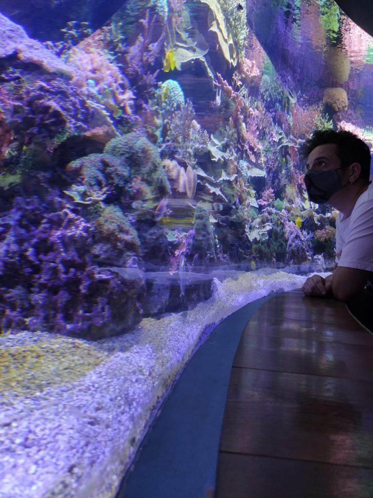 El Acuario de Sevilla reabrirá sus puertas el día 1 de julio - Gastronomía y Moda