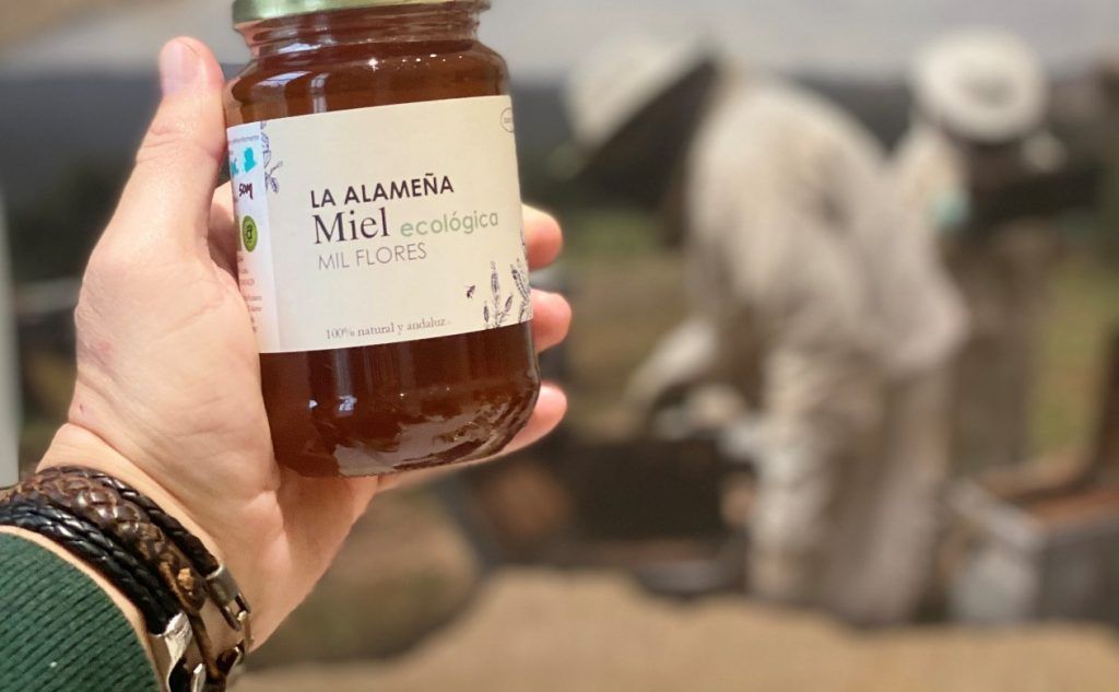 ‘La Alameña’, miel artesana en plena Sierra Norte de Sevilla - Festival Food Bikes - Gastronomía y Moda