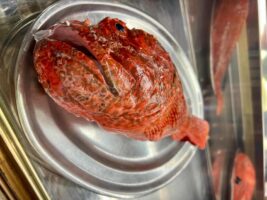 El restaurante de Bolonia que conquista Cádiz con croquetas de choco y un arroz meloso de carabineros frente al paraíso - Gastronomía y Moda