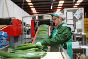 BioProcam, con hasta 18 millones de euros de facturación, gana presencia en los mercados europeos con su producción ecológica - Gastronomía y Moda