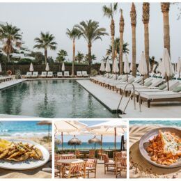 Barbillón Marbella estrena temporada y se consolida como uno de los grandes destinos gastronómicos frente al Mediterráneo - Gastronomía y Moda