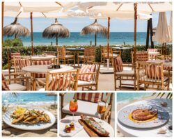 Barbillón Marbella estrena temporada y se consolida como uno de los grandes destinos gastronómicos frente al Mediterráneo - Gastronomía y Moda