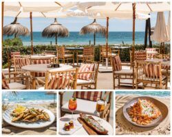 Barbillón Marbella estrena temporada y se consolida como uno de los grandes destinos gastronómicos frente al Mediterráneo - Gastronomía y Moda