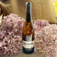 Barcolobo Verdejo, perfecta fusión de sabores y texturas que ofrece siempre una comida de picoteo - Gastronomía y Moda
