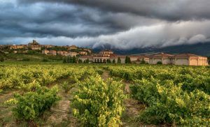 El V Centenario del ‘Camino Ignaciano’ peregrina por Rioja Alavesa - Gastronomía y Moda